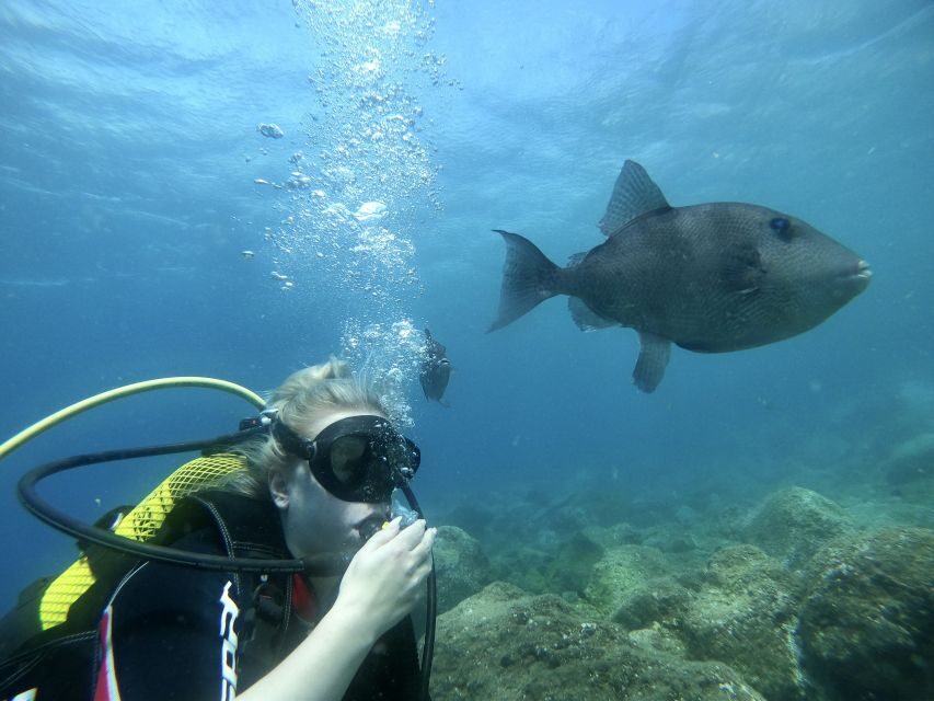 Tenerife : Diving License international in one day - What you actually do in your one-day lesson (the real order)