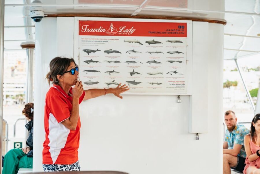 Tenerife: Eco-Yacht Whale and Dolphin Watching and Swimming - Key Things You’ll Notice on This Eco-Yacht Trip