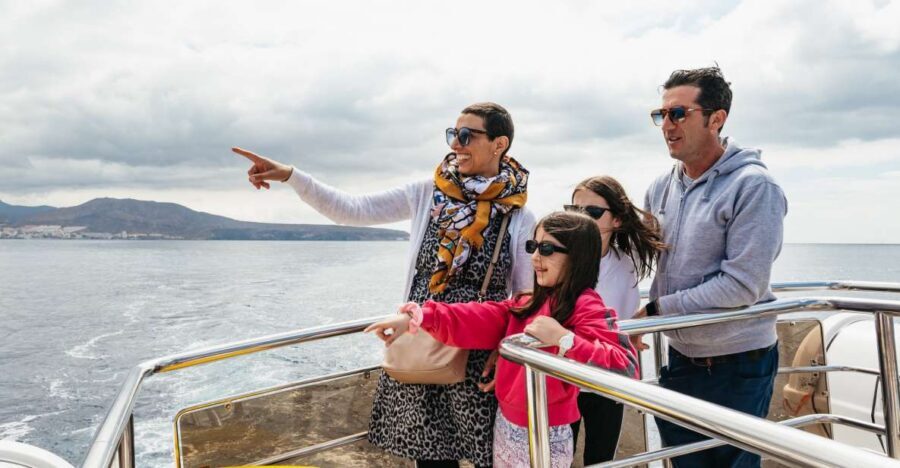 Tenerife: Eco-Yacht Whale and Dolphin Watching and Swimming - Who Should Book This Eco-Yacht Whale Tour (and Who Shouldn’t)