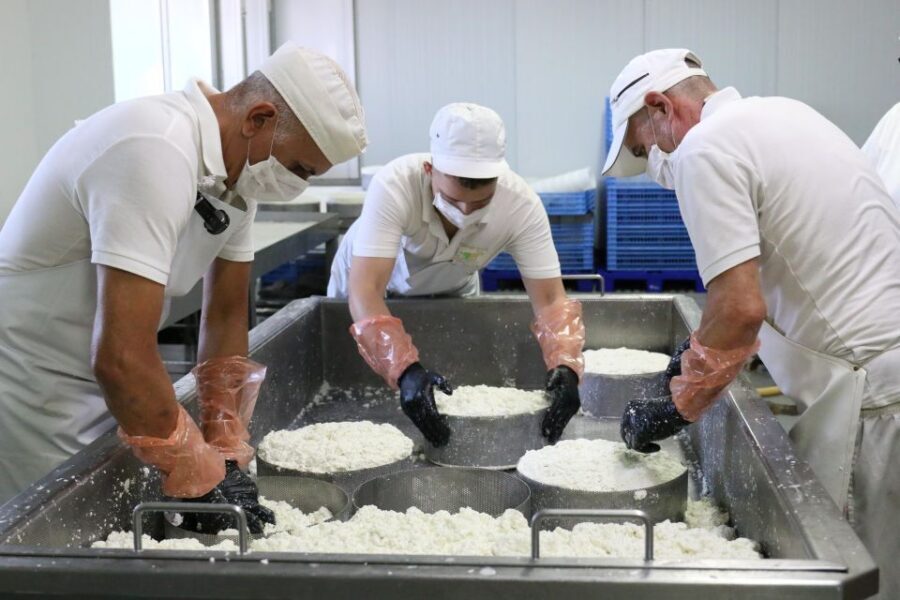 Tenerife - Farm Tour with Cheese Tasting - Key things to know before you go