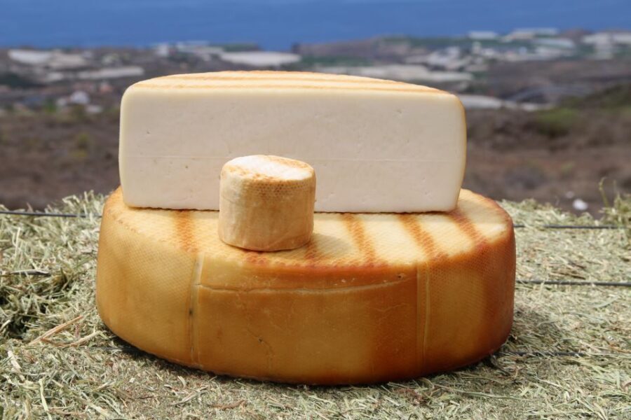 Tenerife - Farm Tour with Cheese Tasting - Quesería Montesdeoca: meeting the animals before the cheese
