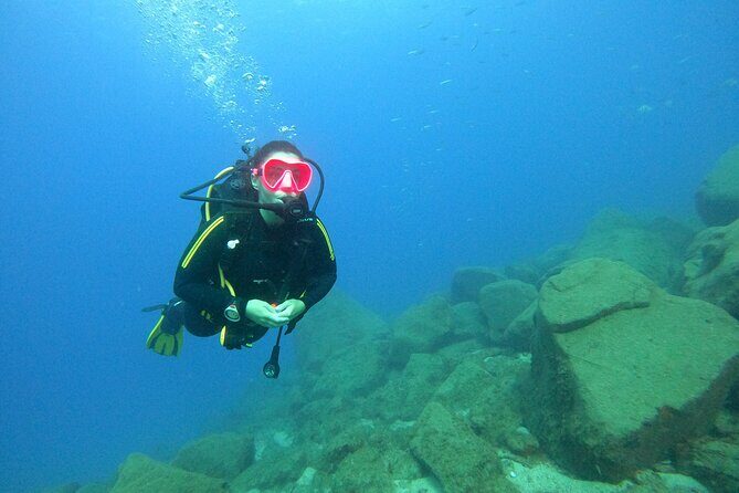 Tenerife First Time Scuba Dive – Turtle Habitat, Small Groups - Safety Briefing and Gear Fit: Where Confidence Starts