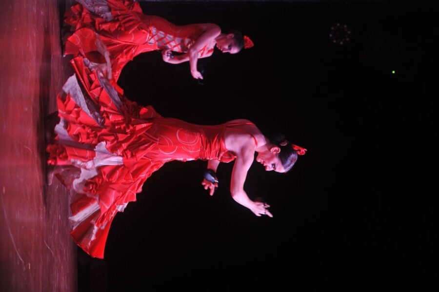 Tenerife: Flamenco Performance at Teatro Coliseo - Should You Book Teatro Coliseo Flamenco in Tenerife?