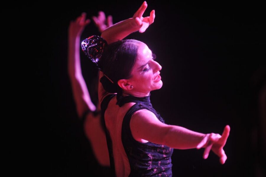 Tenerife: Flamenco Performance at Teatro Coliseo - Timing, Check-In, and Getting There Without Headaches