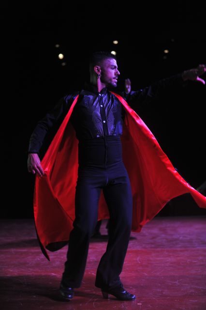 Tenerife: Flamenco Performance at Teatro Coliseo - Who Should Book (and Who Might Skip)