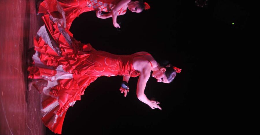 Tenerife: Flamenco Performance at Teatro Coliseo - Teatro Coliseo Seating and Drinks: Standard vs VIP