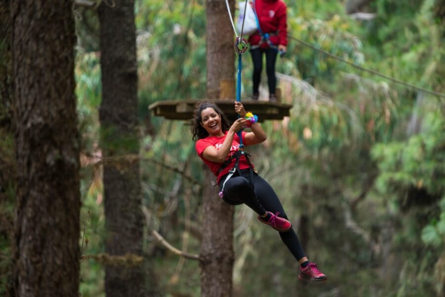 Tenerife: Forestal Park Tenerife Entry Ticket - Key things to know before you go