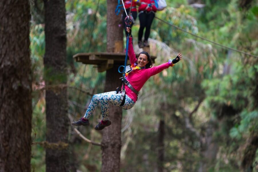 Tenerife: Forestal Park Tenerife Entry Ticket - Circuits and difficulty: how to match your comfort level