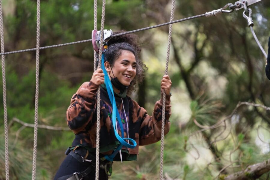 Tenerife: Forestal Park Tenerife Entry Ticket - The 3-hour treetop run: safety training, rope ladders, then zip time