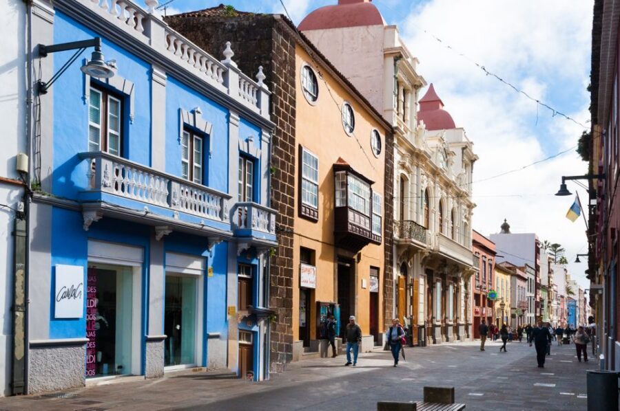 Tenerife: Full-Day Gastronomy and Wine Tour - Casa del Vino in El Sauzal: cheese and wine tasting in a wine museum setting