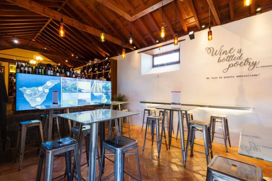 Tenerife: Full-Day Gastronomy and Wine Tour - Coach time reality: what the 8-hour day feels like
