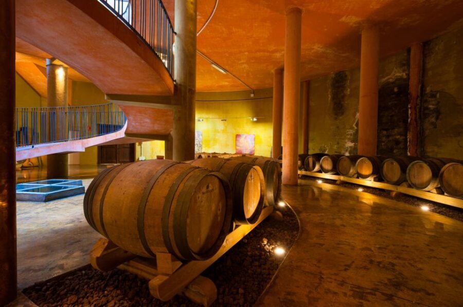 Tenerife: Full-Day Gastronomy and Wine Tour - Price and value: why $97 can make sense for this day