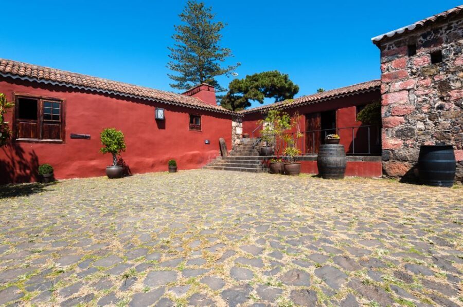 Tenerife: Full-Day Gastronomy and Wine Tour - Tips to get more out of the tasting and lunch