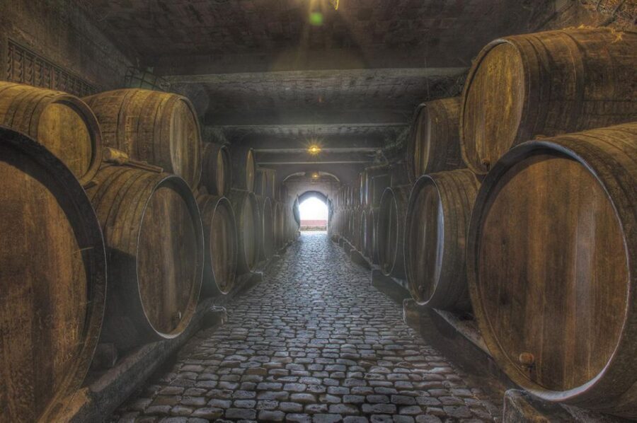 Tenerife: Full-Day Gastronomy and Wine Tour - FAQ