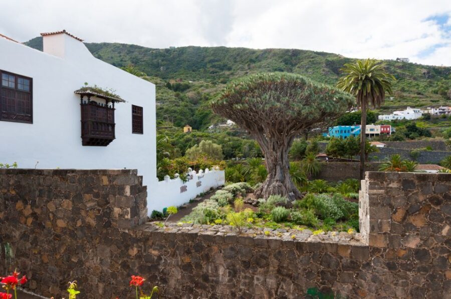 Tenerife: Full-Day Guided Island Tour - Pickup in the South: What to Know Before the Van Turns On