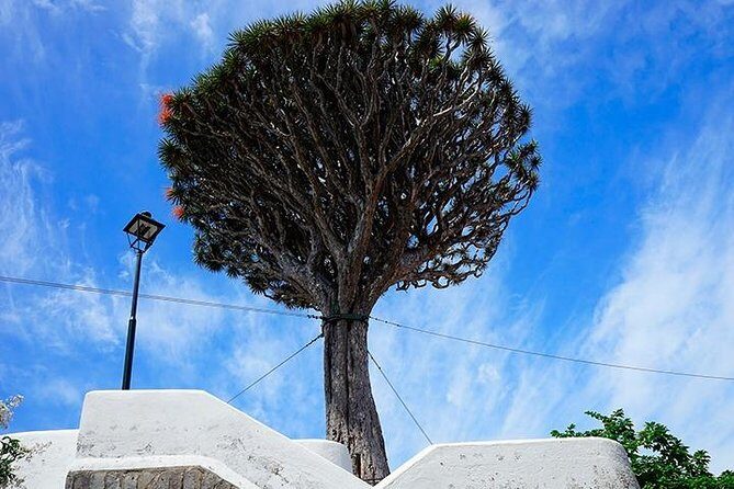 Tenerife Full Island Tour - Los Gigantes Viewpoint: Colossal Cliffs in 15 Minutes