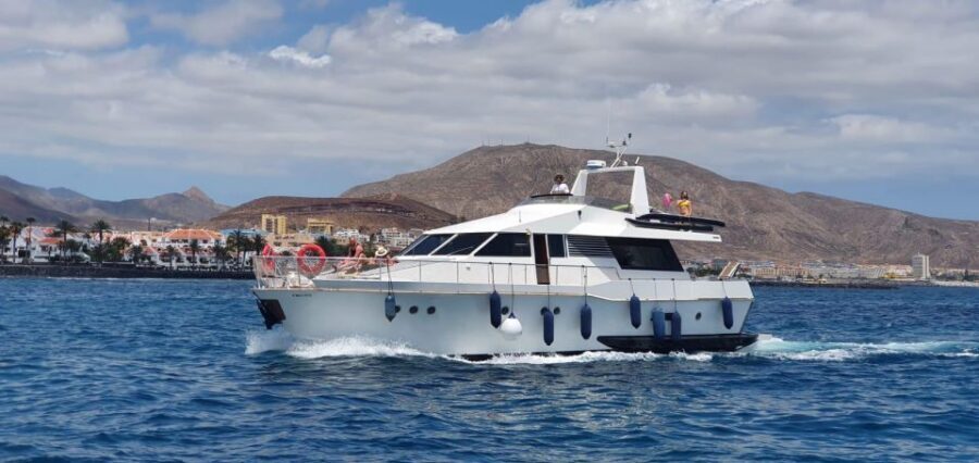 Tenerife: Fun Yacht Trip with Water Activities and Toys - A waterslide on a 20-metre yacht in Tenerife (Costa Adeje)