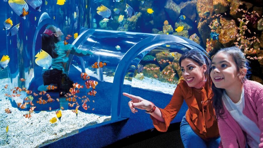 Tenerife: Gran Canaria Full-Day Guided Tour with Aquarium - Vegueta’s historic core: guided walking in Las Palmas’ old heart