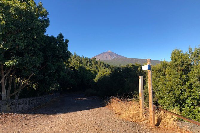 Tenerife Grand Tour: including Teide National Park and Masca - Teide National Park and Los Roques de García: the famous views come fast