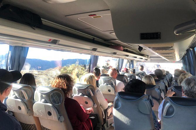 Tenerife Grand Tour: including Teide National Park and Masca - Icod de los Vinos and the Drago Milenario: a classic Tenerife pause