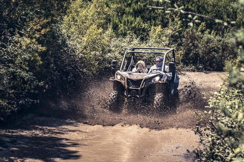 Tenerife: Guided Buggy Discovery Tour around Mount Teide - Price and Value: Is $225 Worth It?
