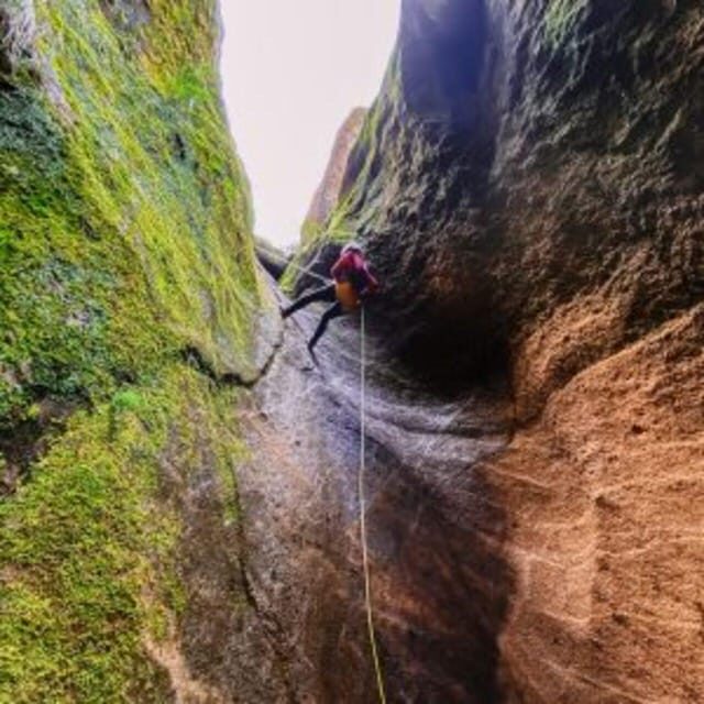 Tenerife: Guided Canyoning Experience in Los Arcos - Price and value: what $82 buys you in the real world