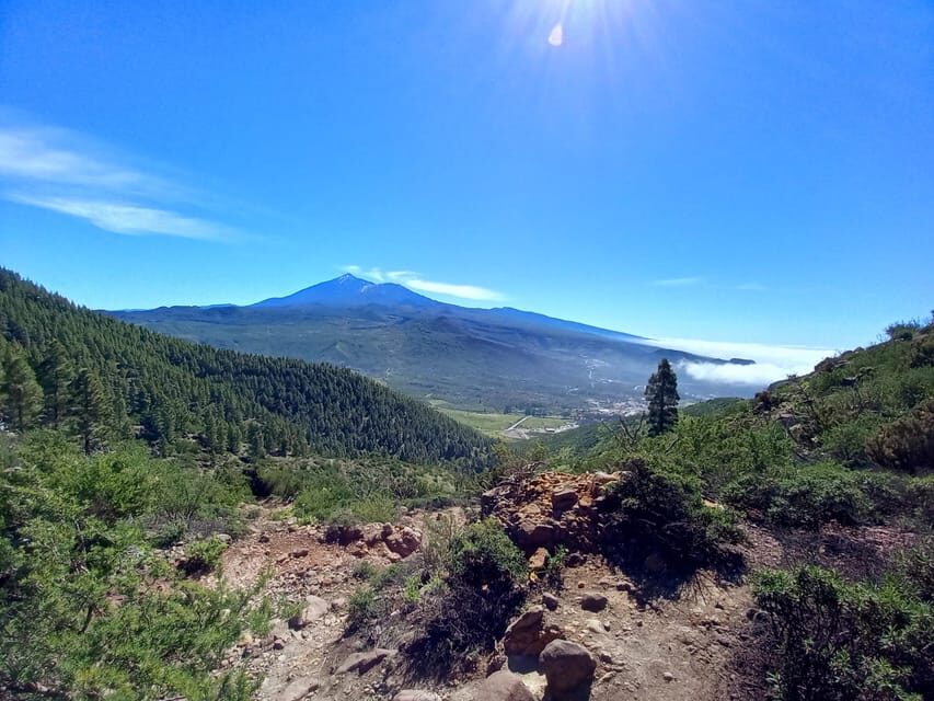 Tenerife: Hiking Above the Village of Masca - Meeting Point and Van Ride From Los Cristianos Area