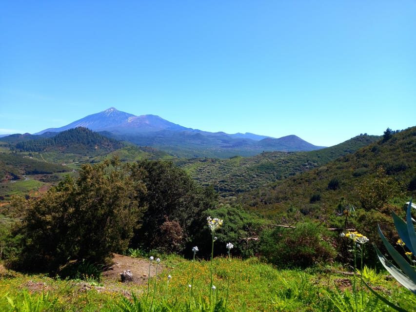 Tenerife: Hiking Above the Village of Masca - Price and Value: What $73 Buys You