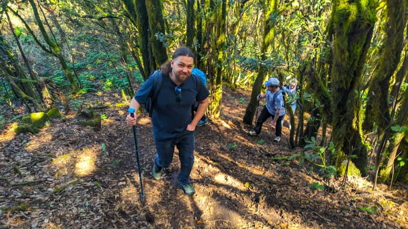 Tenerife: Hiking Tour Above Masca & Enchanted Forest - From pine-forest start to Teide-and-Masca views fast