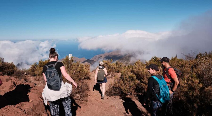 Tenerife: Hiking Tour Above Masca & Enchanted Forest - Picnic on a historical site: the snack break you’ll actually remember