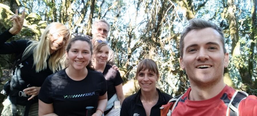Tenerife: Hiking Tour Above Masca & Enchanted Forest - The route’s “four climates” feeling in 8.8 km