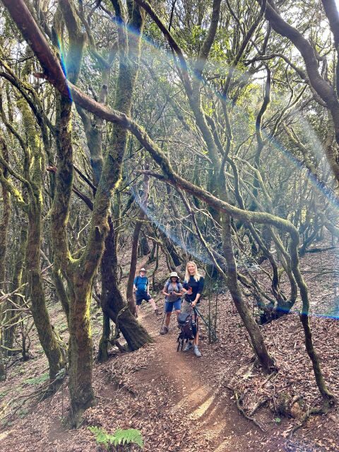 Tenerife: Hiking Tour Above Masca & Enchanted Forest - Price and value: why $91 feels reasonable for what’s included