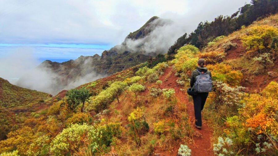 Tenerife: Hiking Tour in Anaga Mountains & Enchanted Forest - The Scenic Drive Through the Enchanted Anaga Forest