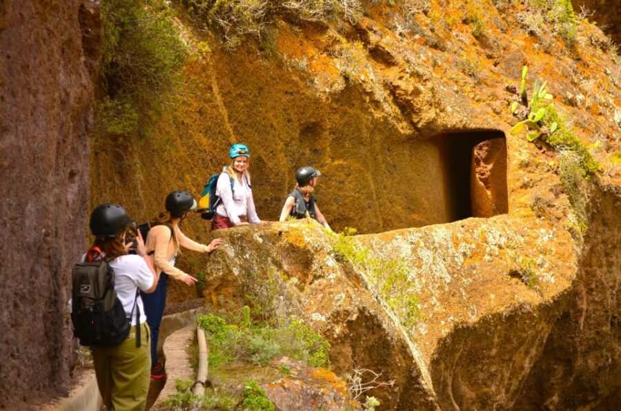 Tenerife: Hiking Tour in Anaga Mountains & Enchanted Forest - Cave Village and Water-Channel Hiking: Where the Adventure Gets Real
