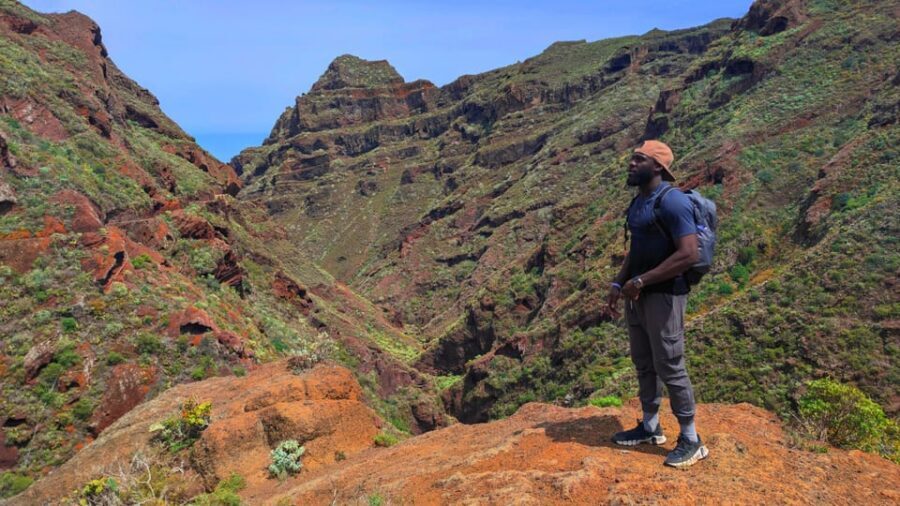 Tenerife: Hiking Tour in Anaga Mountains & Enchanted Forest - Lunch in a Natural Cave: The Picnic Portion You’ll Remember