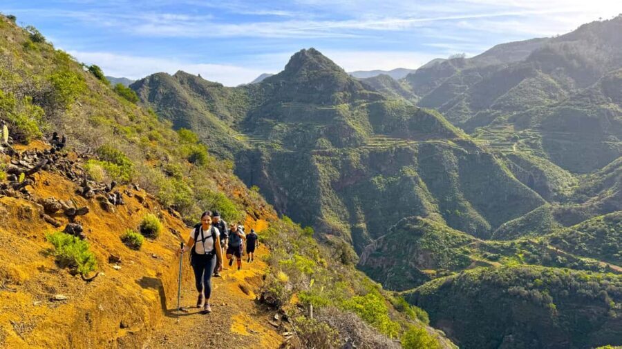 Tenerife: Hiking Tour in Anaga Mountains & Enchanted Forest - Meet the Guide: Why Alex Seems to Be a Big Part of the Value