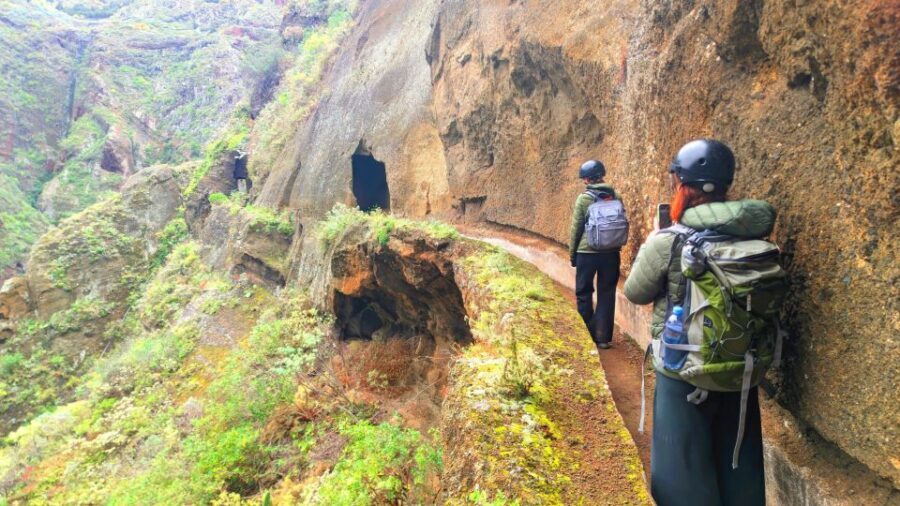 Tenerife: Hiking Tour in Anaga Mountains & Enchanted Forest - Hassle-Free Pickup from Tenerife’s South-East (Including Santa Cruz)