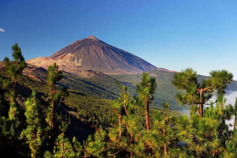 Tenerife: Jet Ski Tour with Optional Quad Trip - Key Highlights You’ll Care About