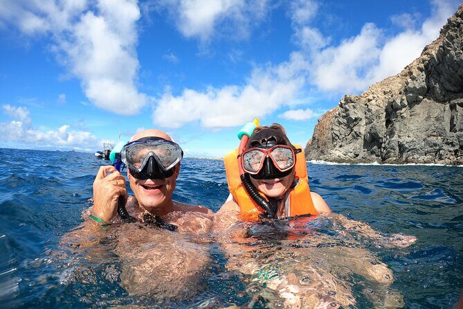Tenerife: Kayak and snorkel with marine life safari - Kayak basics, safety rules, and the cliffs-to-Pal Mar feel
