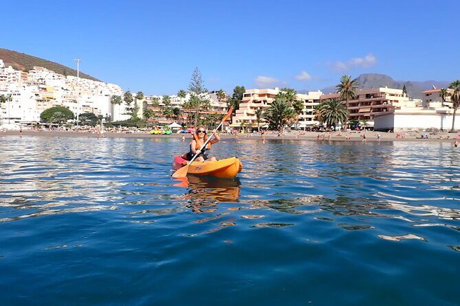 Tenerife: Kayak and snorkel with marine life safari - What the guides actually do (and why it affects your whole day)