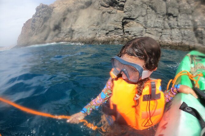 Tenerife: Kayak and snorkel with marine life safari - Weather and sea conditions: the part you can’t control