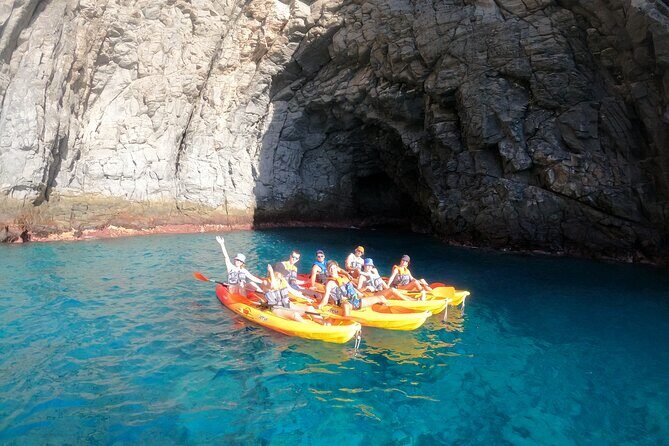 Tenerife: Kayak and snorkel with marine life safari - Things to plan for so the day goes smoothly