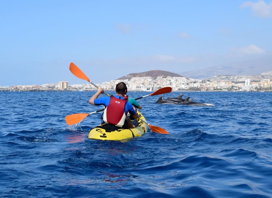 Tenerife: Kayak and Snorkel with Turtles, Wetsuits Included - Playa de Los Cristianos: Your First Paddle and Dolphin Watching
