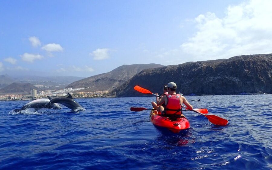 Tenerife: Kayak and Snorkel with Turtles, Wetsuits Included - Snorkel Break in a Boat-Accessible Bay: Where the Water Turns Truly Clear