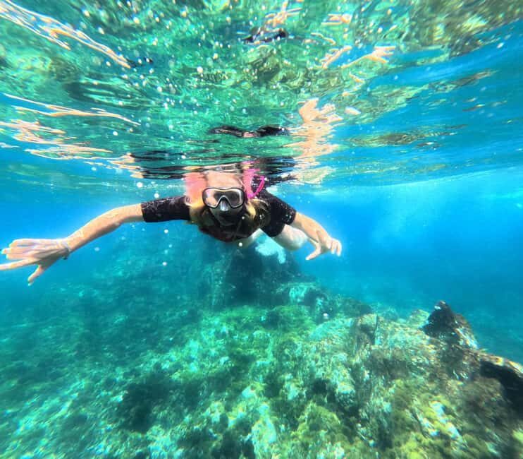 Tenerife: Kayak and Snorkeling Tour with Marine Life - Key things to love about this Tenerife kayak and snorkeling tour