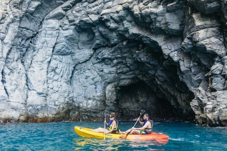 Tenerife: Kayak Safari and Sea Turtle Snorkeling with Photos - How to choose the right moment to go in Tenerife