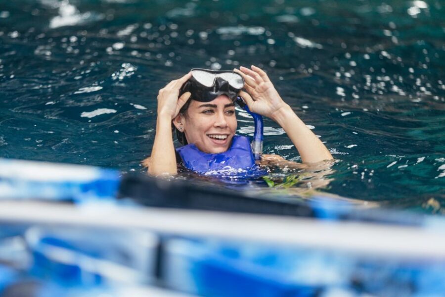Tenerife: Kayak Safari and Sea Turtle Snorkeling with Photos - Sea turtles and dolphins: why the kayak matters