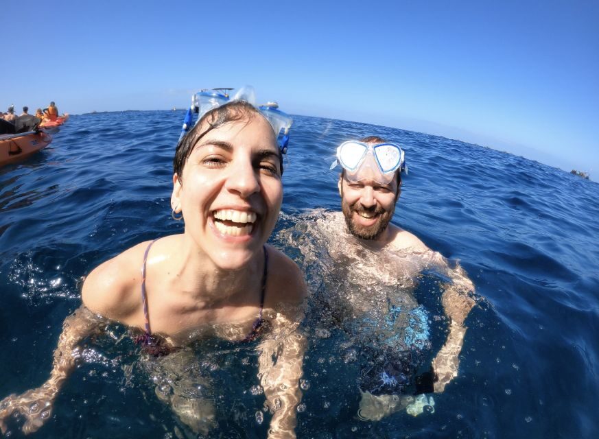 Tenerife: Kayak Safari and Sea Turtle Snorkeling with Photos - What’s included for the price (and why $29 can make sense)
