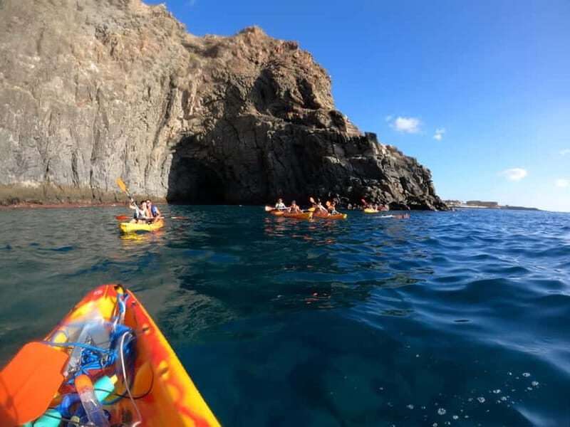 Tenerife: Kayak & Snorkel Tour with Snacks & Sea Life Safari - Price and Value for a 3-Hour Sea Life Safari ($30)