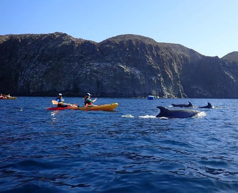 Tenerife: Kayak & Snorkel Tour with Snacks & Sea Life Safari - Getting Fitted: Wetsuit, Life Jacket, and a Safety Brief That Sets the Tone